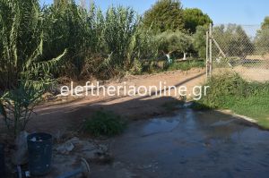 vandalismoi ghpedo korwnhs 3